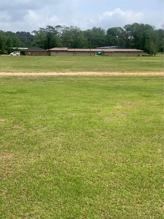 13322 Berry Bowl Road Independence, LA 70443 - Photo 6 of 7