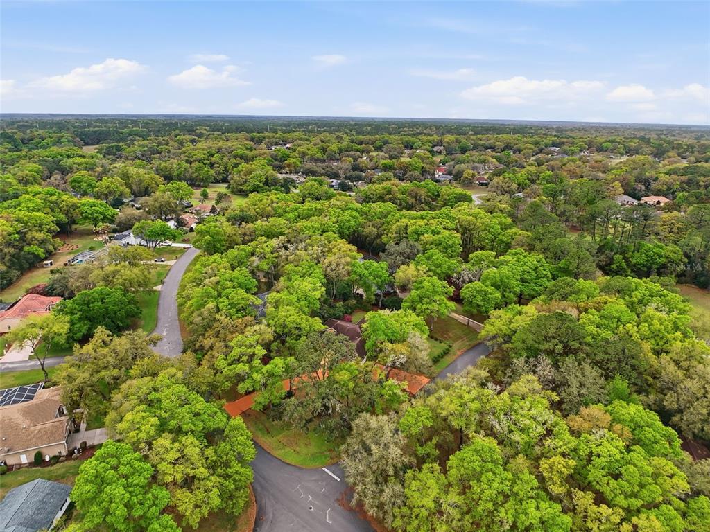 19295 Southwest 90th Ln Road Dunnellon, FL 34432 - Photo 68 of 83