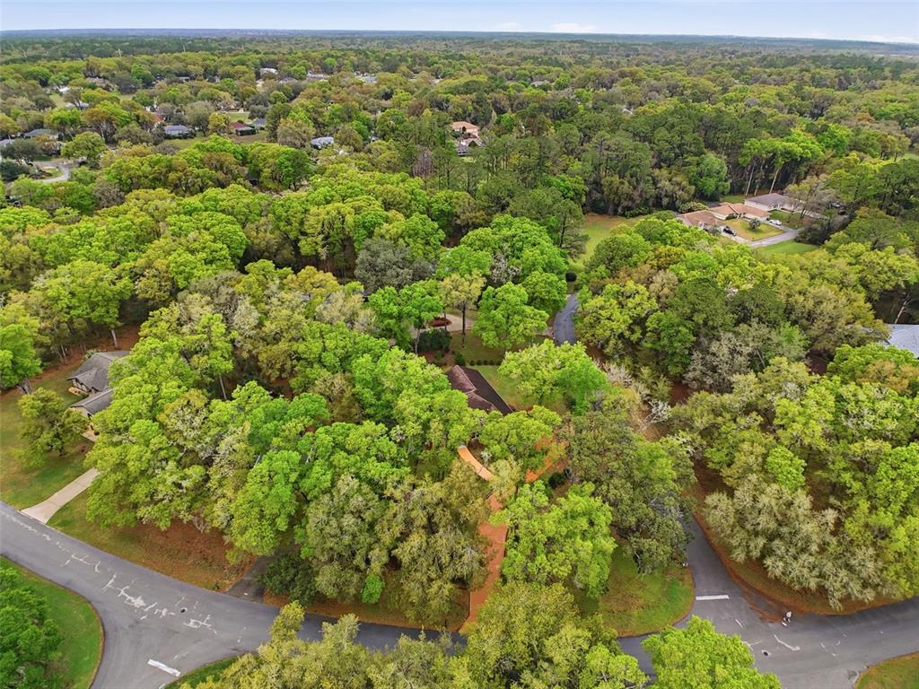 19295 Southwest 90th Ln Road Dunnellon, FL 34432 - Photo 69 of 83