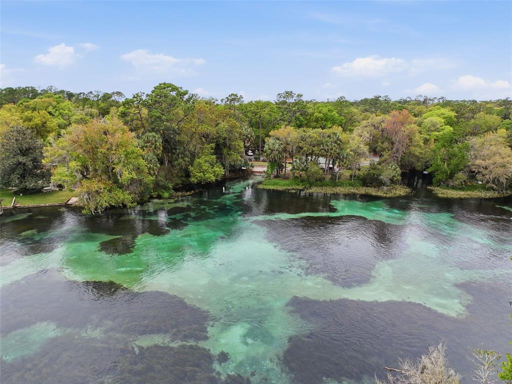 19295 Southwest 90th Ln Road Dunnellon, FL 34432 - Photo 70 of 83