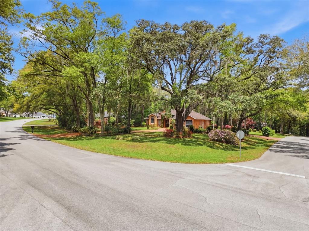 19295 Southwest 90th Ln Road Dunnellon, FL 34432 - Photo 7 of 83