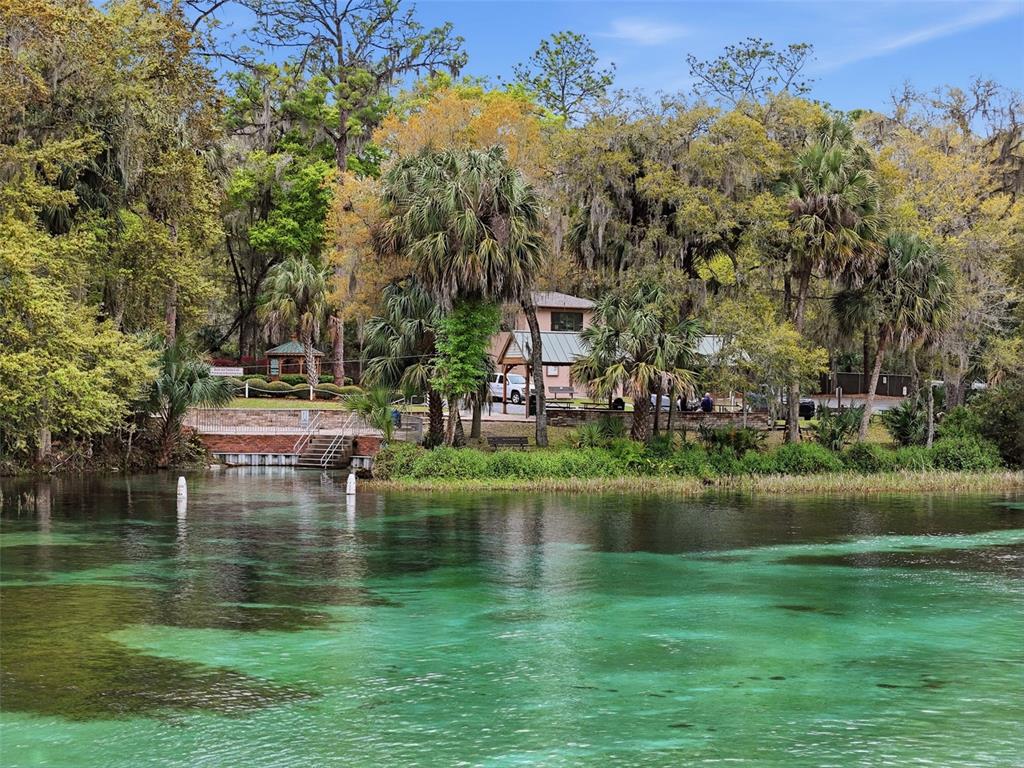 19295 Southwest 90th Ln Road Dunnellon, FL 34432 - Photo 72 of 83