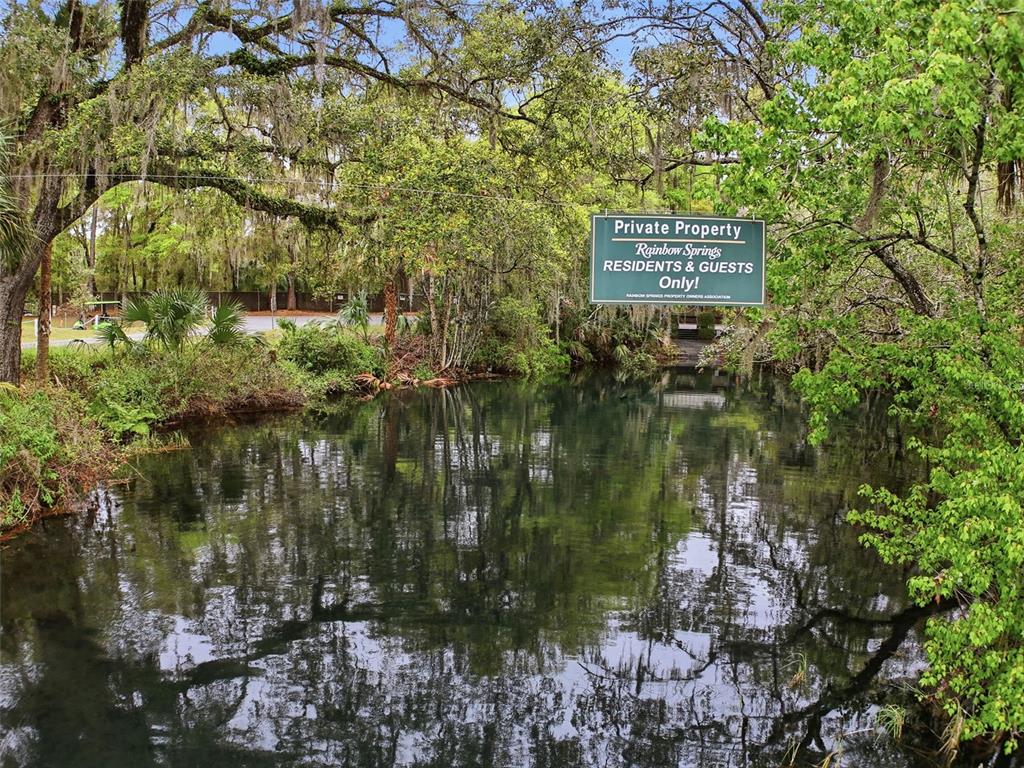 19295 Southwest 90th Ln Road Dunnellon, FL 34432 - Photo 76 of 83