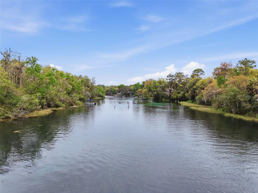 19295 Southwest 90th Ln Road Dunnellon, FL 34432 - Photo 83 of 83