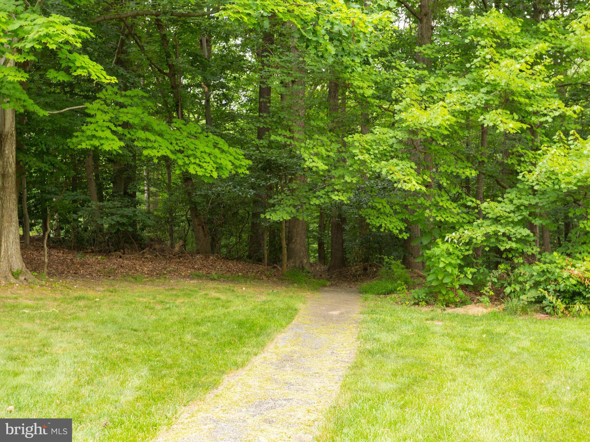 7770 Brandeis Way Springfield, VA 22153 - Photo 26 of 30 Scenic Hiking Trail