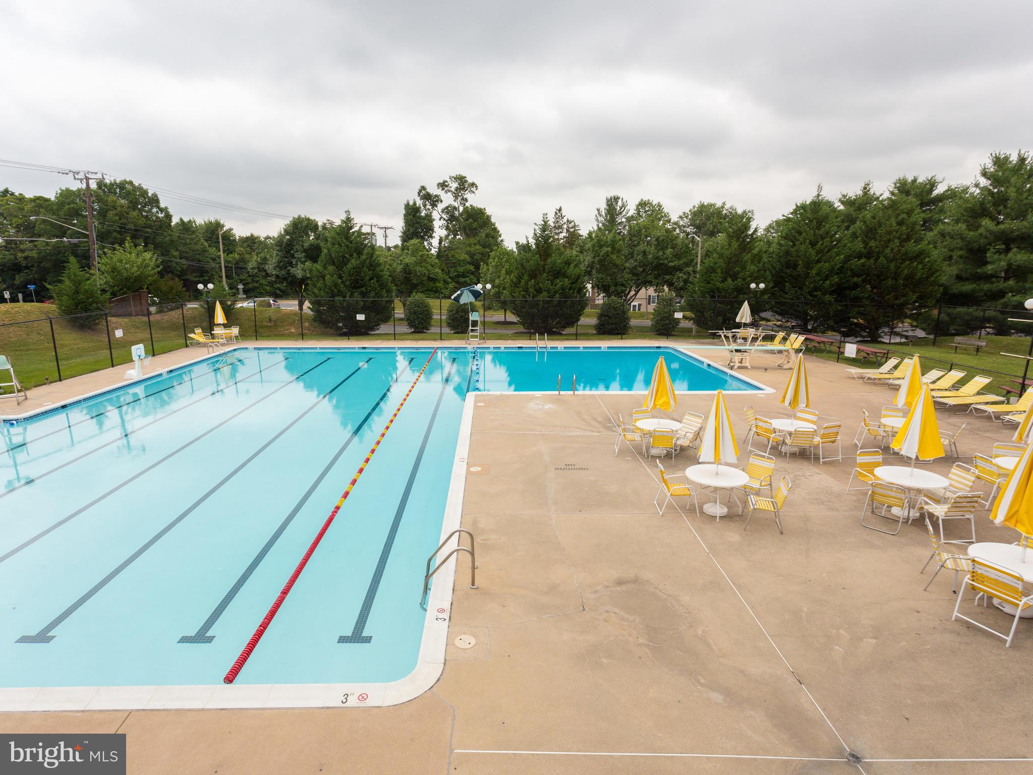 7770 Brandeis Way Springfield, VA 22153 - Photo 28 of 30 Community Pool