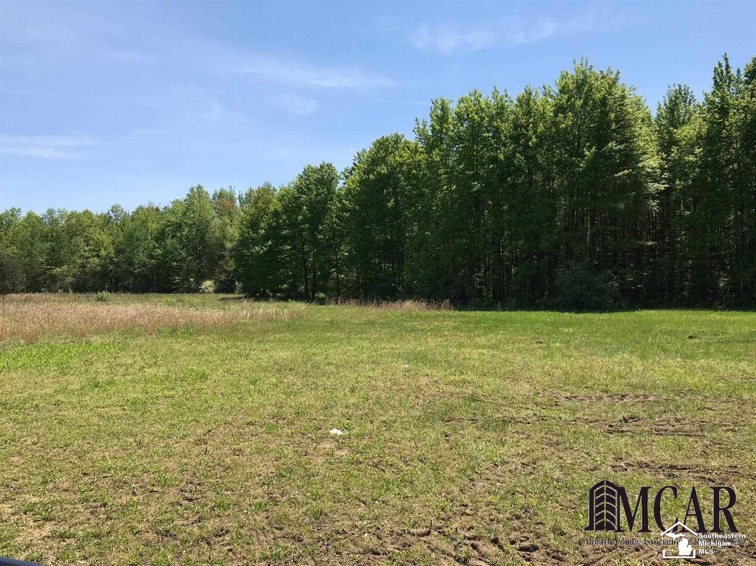 11447 Allison Road Maybee, MI 48159 - Photo 19 of 22