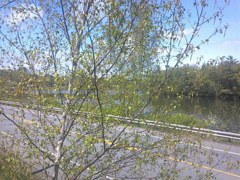 118 River Road Anson, ME 04911 - Photo 7 of 7 Other.