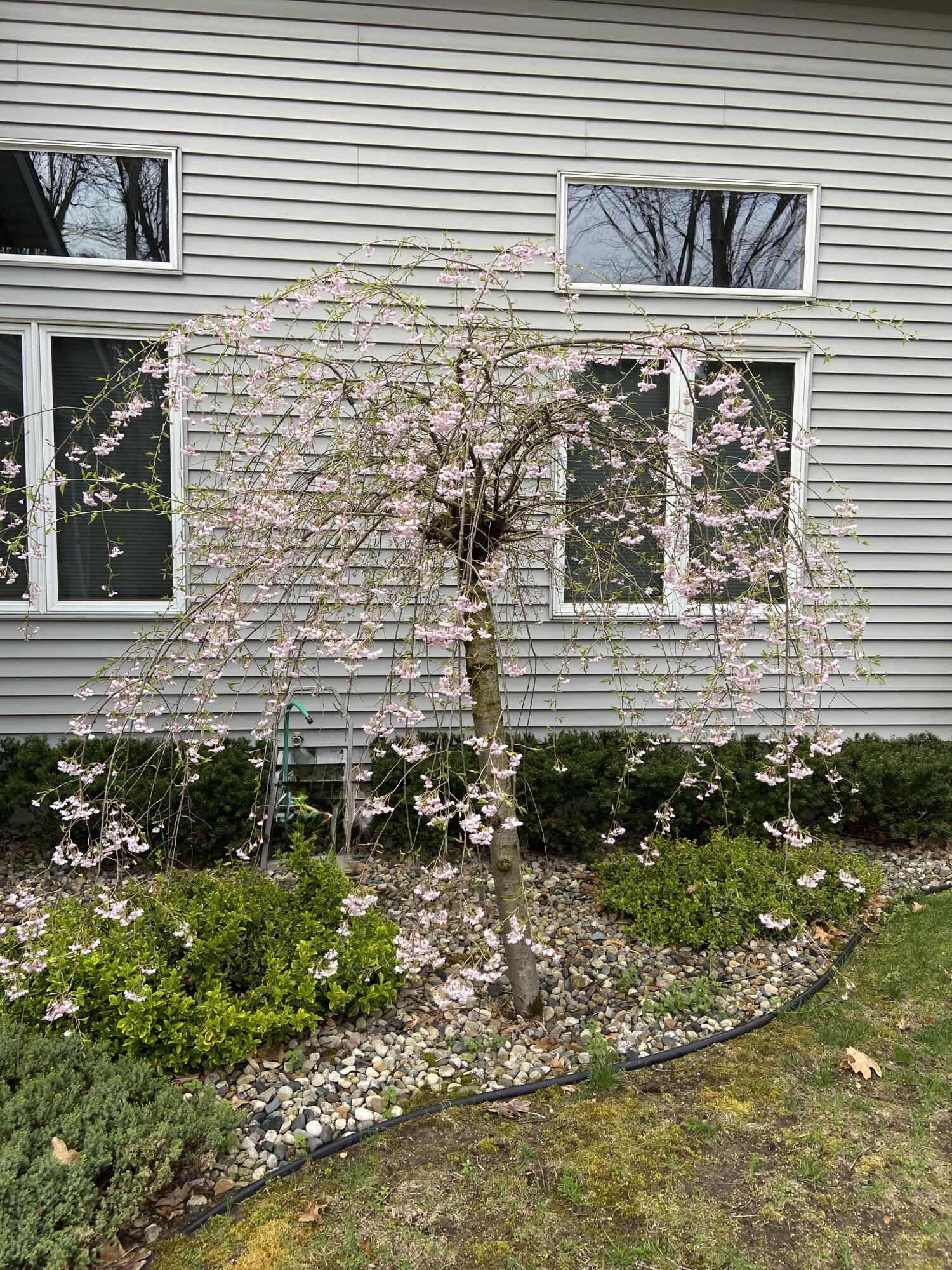 4079 Monroe Road Allegan, MI 49010 - Photo 26 of 27 IMG_9093