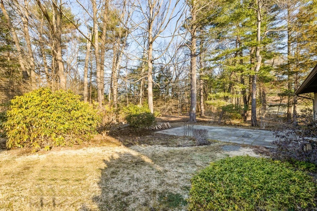 175 Bay Road Sharon, MA 02067 - Photo 17 of 19 a view of yard with large trees