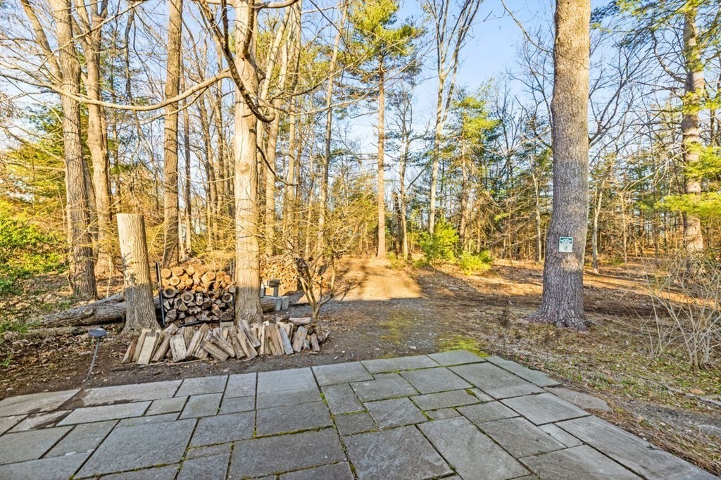 175 Bay Road Sharon, MA 02067 - Photo 18 of 19