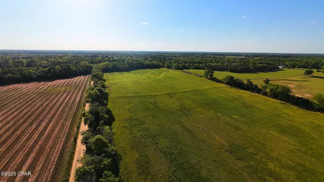 $325,000 | 0 Us-231, Campbellton, FL 32426