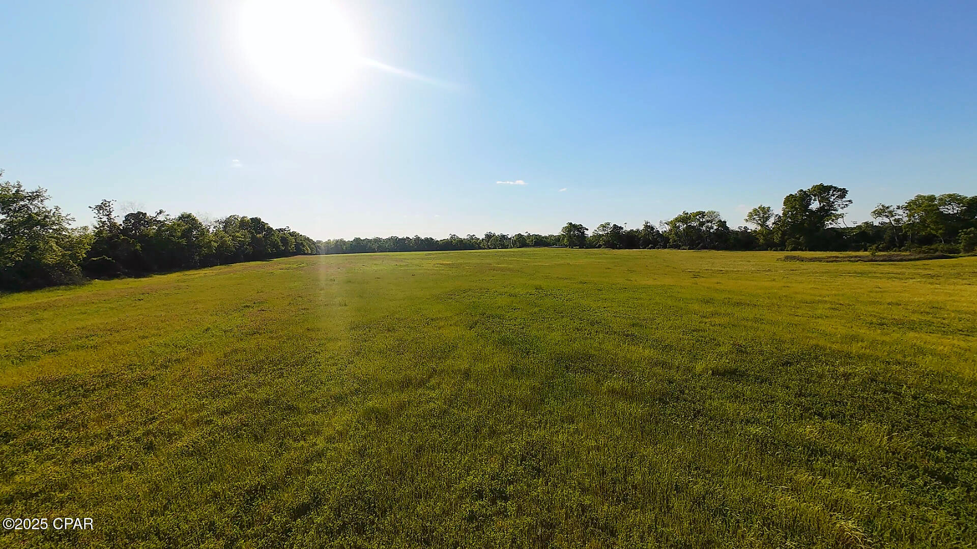 0 Us-231 Campbellton, FL 32426 - Photo 6 of 13