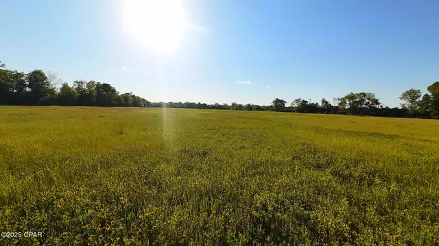 $325,000 | 0 Us-231, Campbellton, FL 32426