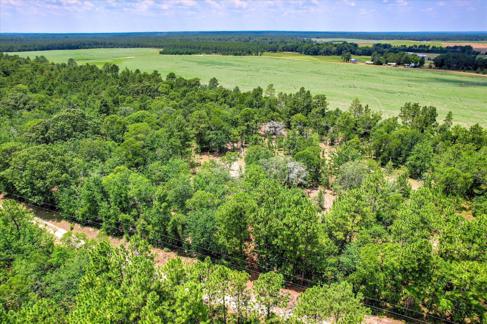 174 Hard Luck Lane Windsor, SC 29856 - Photo 5 of 27
