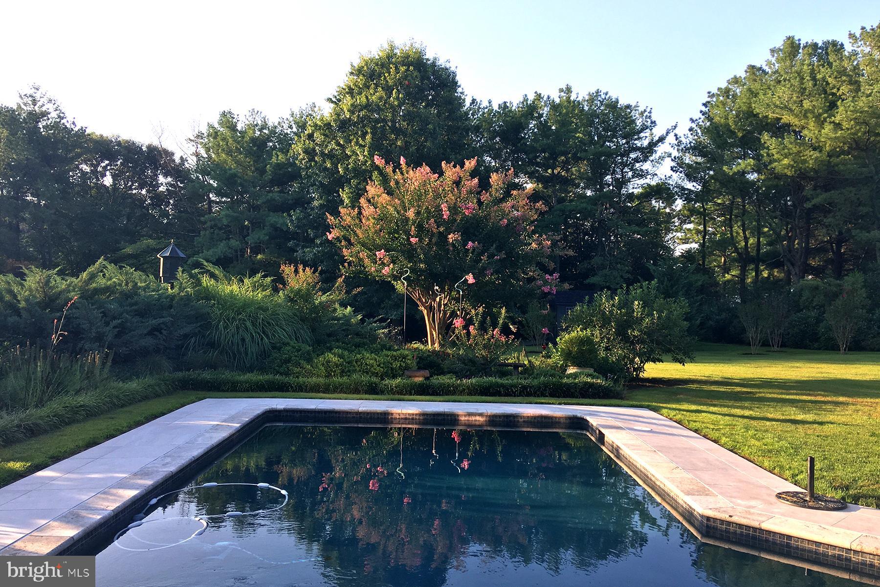 3333 Harness Creek Road Annapolis, MD 21403 - Photo 44 of 75 Recently re-done pool with luscious landscaping