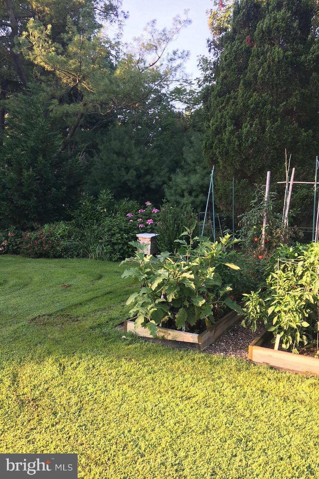 3333 Harness Creek Road Annapolis, MD 21403 - Photo 64 of 75 Plenty of room for beds of veggies and flowers