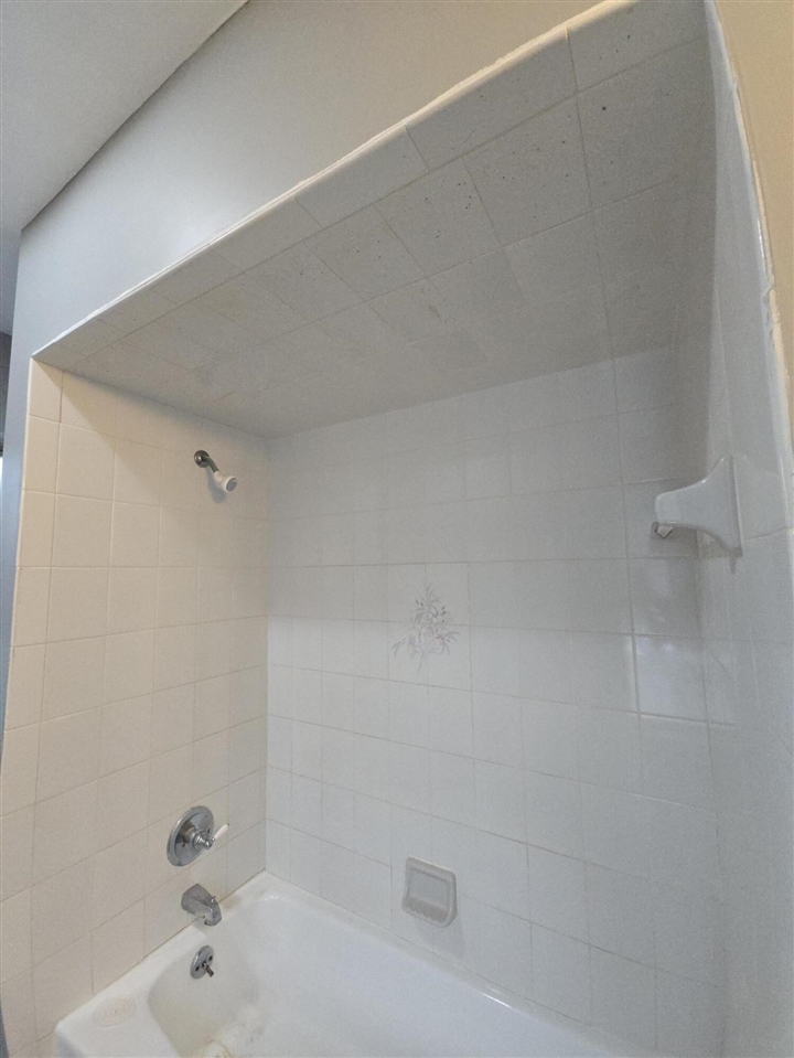 622 Maple Street Colon, MI 49040 - Photo 49 of 64