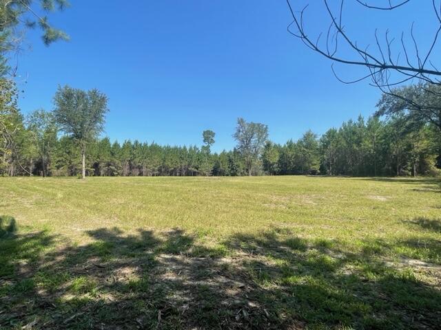 131 Oak Estates Way Ridgeville, SC 29472 - Photo 11 of 13 IMG_2262