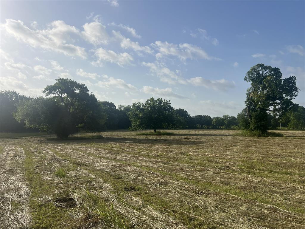 Seven Seven Oaks Road Bonham, TX 75418 - Photo 14 of 21