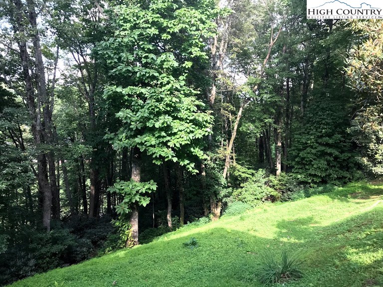 308 Stanberry Road Boone, NC 28607 - Photo 15 of 17 Gallery Image 15