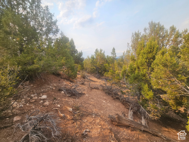915 South Stagecoach Road, Unit 8 Fruitland, UT 84027 - Photo 27 of 40 Beautiful Property Views - Nice Large Trees!