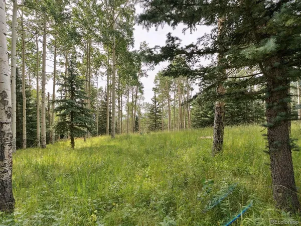 $1,500,000 | 0 Snyder Mountain Road, Evergreen, CO 80439