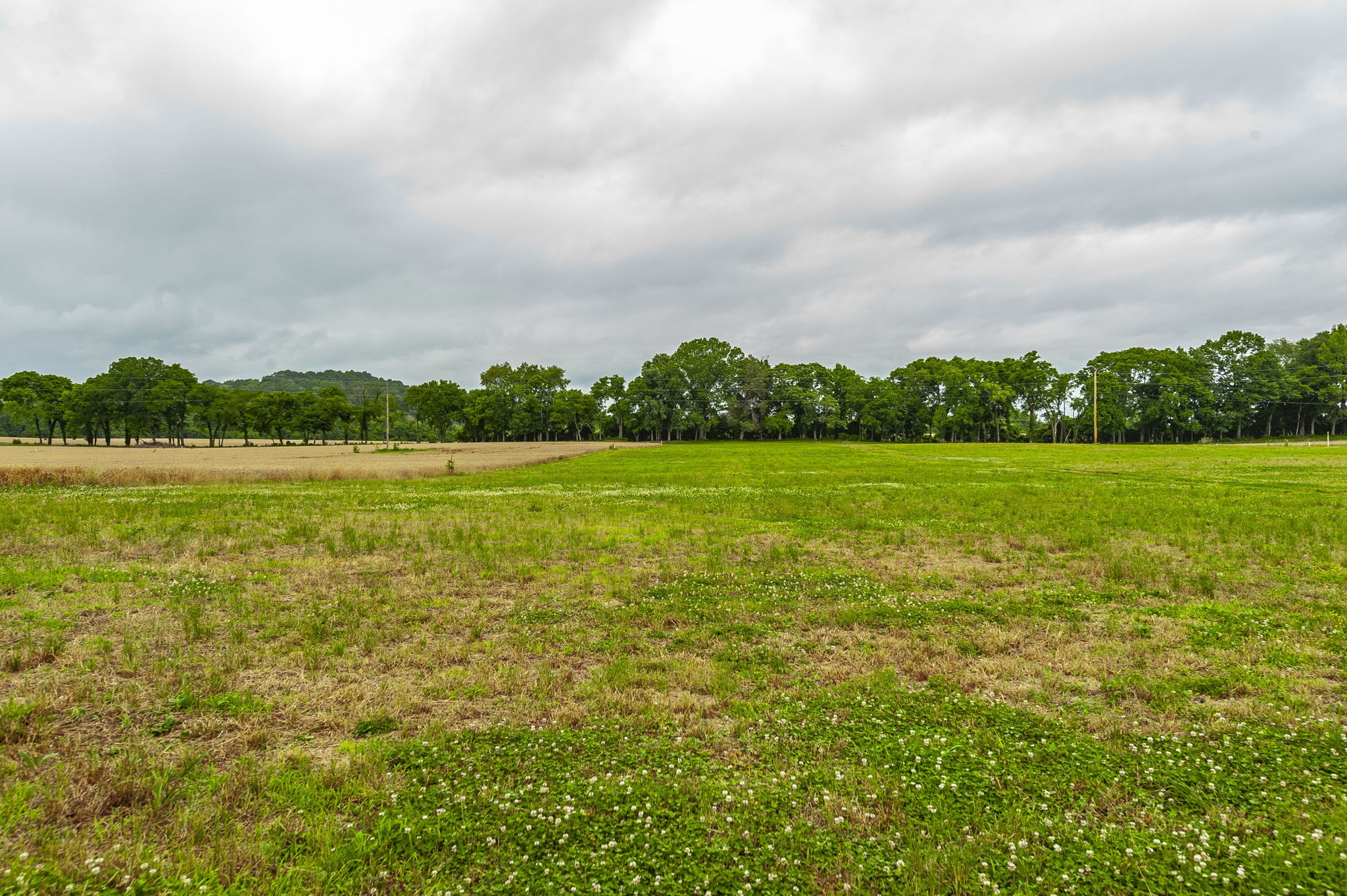 1113 East Robertson Road Castalian Springs, TN 37031 - Photo 31 of 56