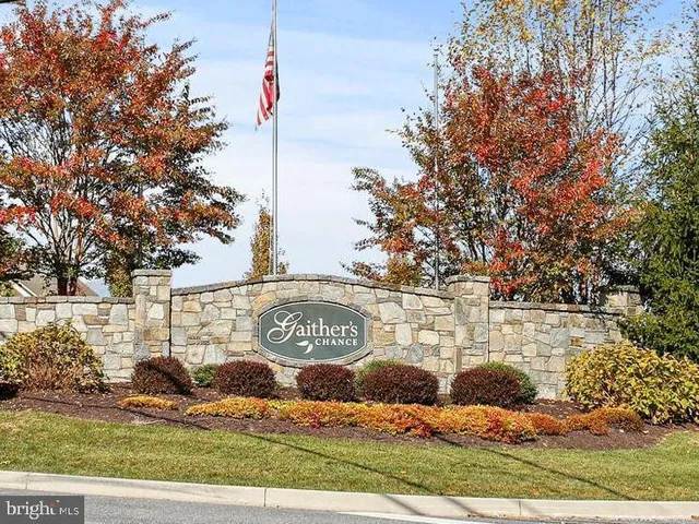 a view of a park with tree s