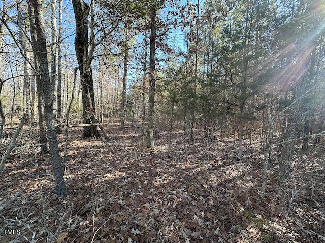 Lot 1 Range Road Rougemont, NC 27572 - Photo 3 of 5 IMG_1756
