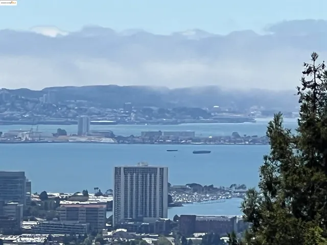 a aerial view of a house with a yard and large trees