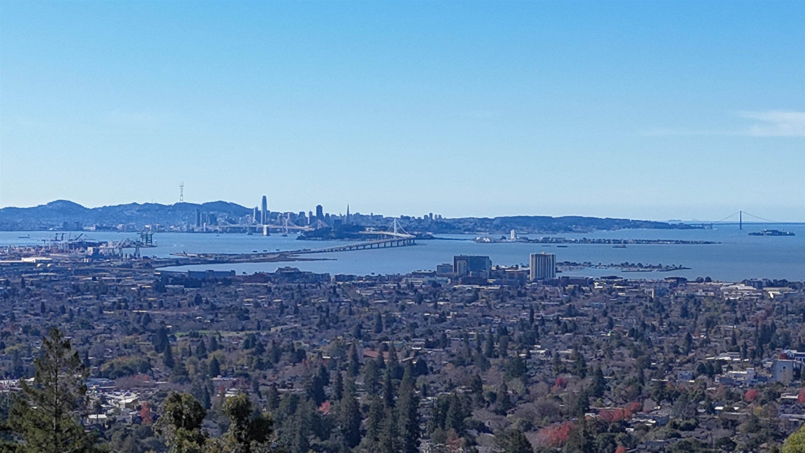 142 Gravatt Drive Berkeley, CA 94705 - Photo 20 of 25 a view of outdoor space and a building