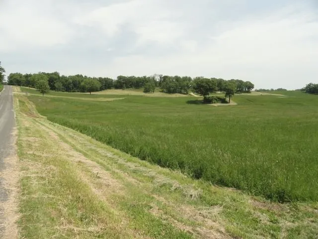 $75,900 | Lot 5 County Road Y, Viroqua, WI 54665