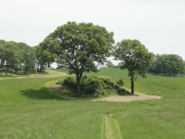 $75,900 | Lot 5 County Road Y, Viroqua, WI 54665