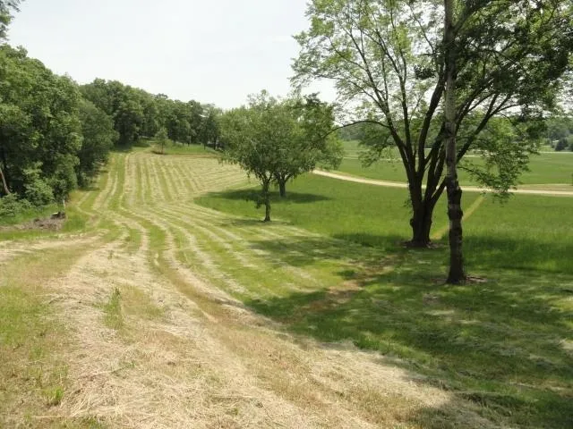 $75,900 | Lot 5 County Road Y, Viroqua, WI 54665