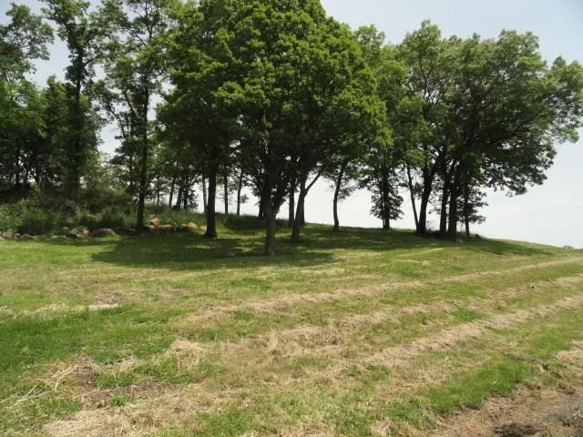 $75,900 | Lot 5 County Road Y, Viroqua, WI 54665