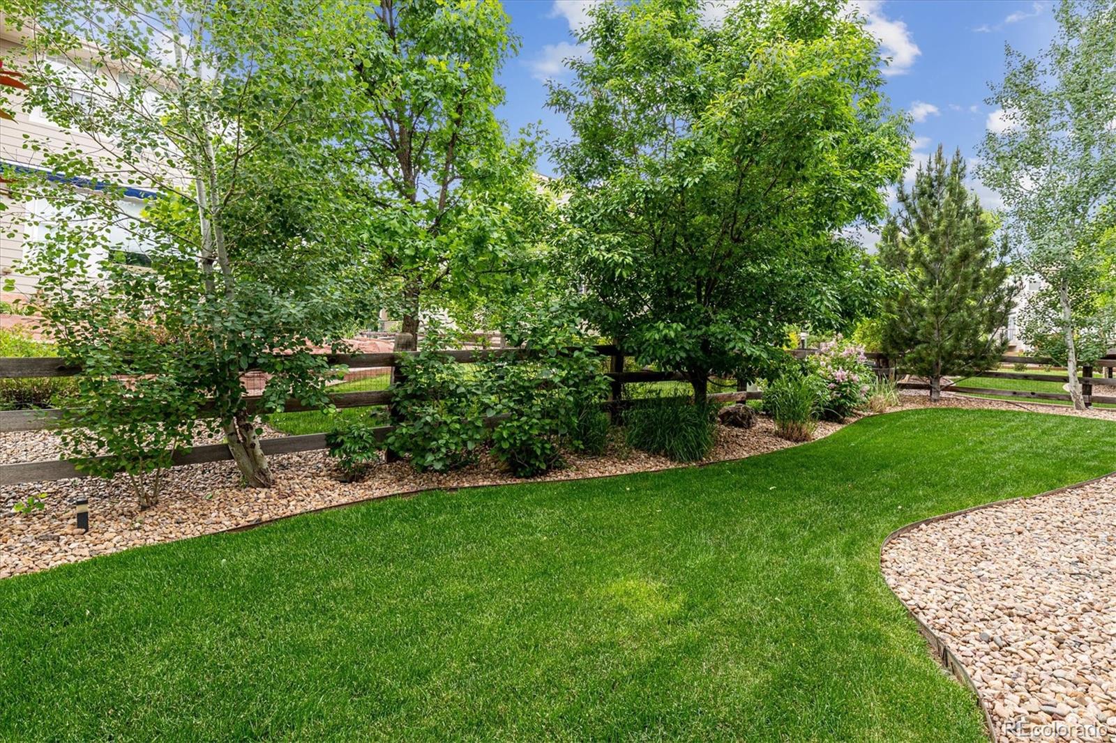 8388 Dressage Road Littleton, CO 80125 - Photo 36 of 39