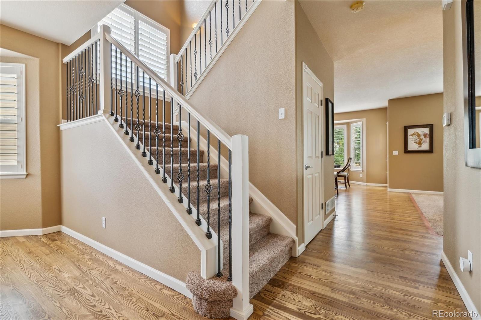 8388 Dressage Road Littleton, CO 80125 - Photo 6 of 39