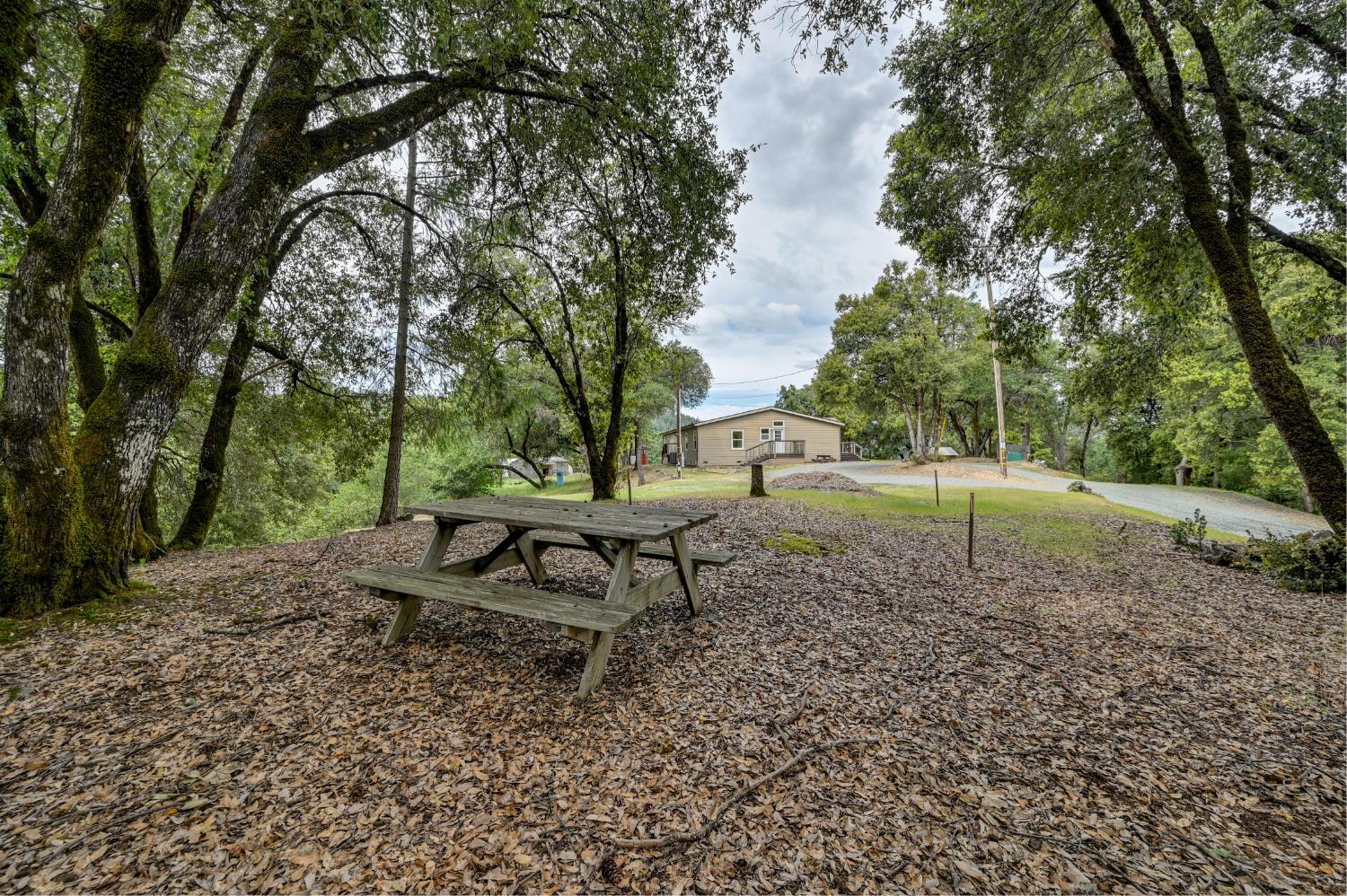 3680 Greenwood Road Garden Valley, CA 95633 - Photo 22 of 32 a view of a park with large trees
