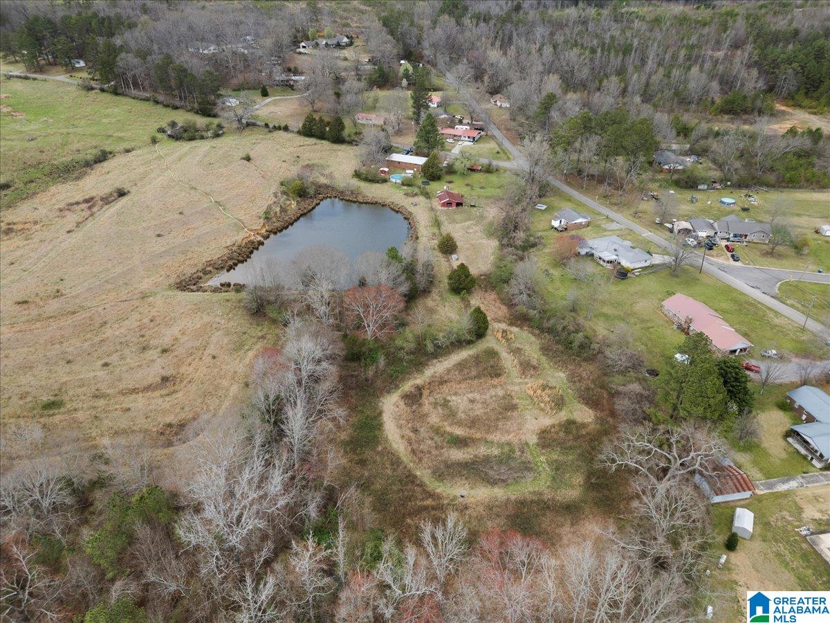 31 Briarwood Road Blountsville, AL 35031 - Photo 11 of 30