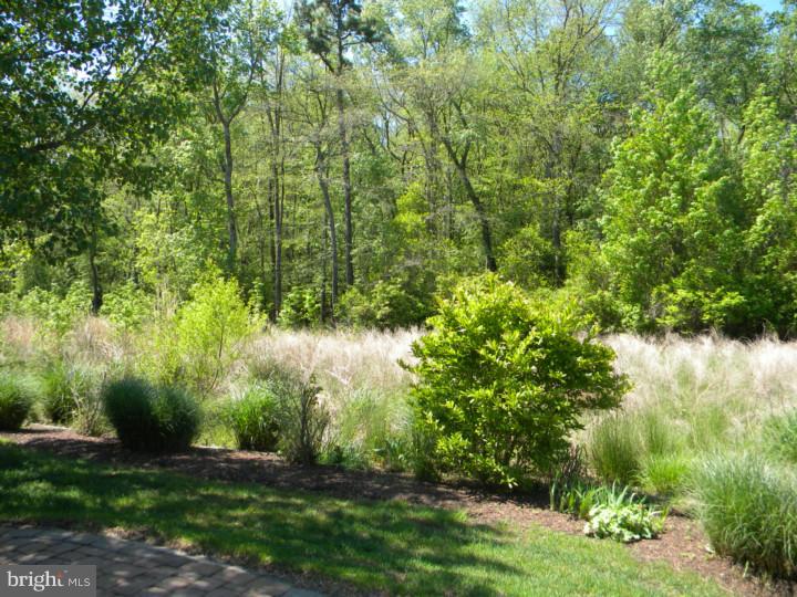 36 Mayfair Road Southampton, NJ 08088 - Photo 20 of 21 View in Back