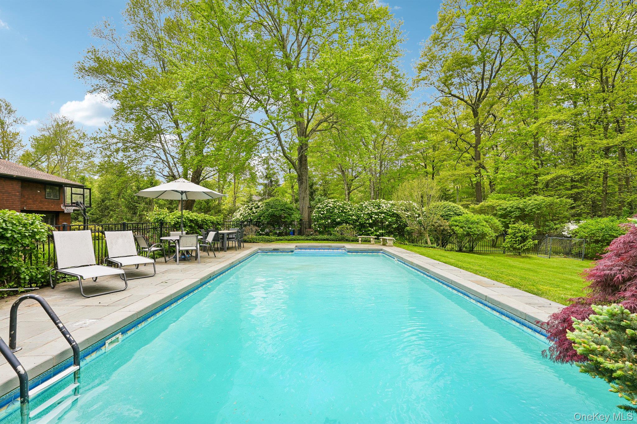 27 Cat Ridge Road North Salem, NY 10560 - Photo 1 of 49 a view of pool with lawn chairs and plants