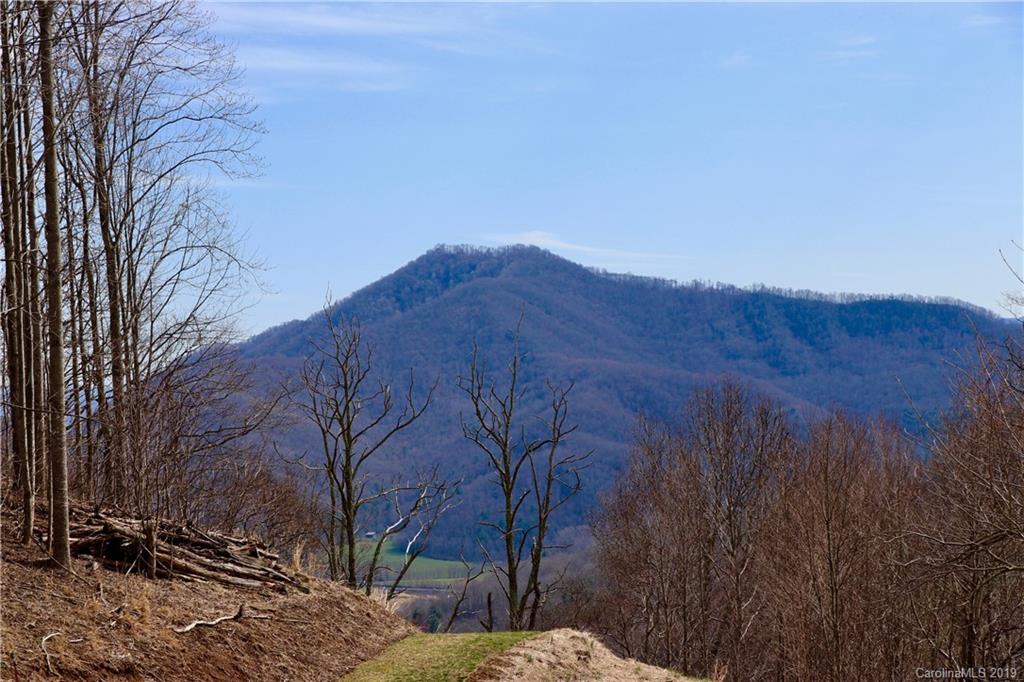 2300 Wesley Creek Road Clyde, NC 28721 - Photo 1 of 19