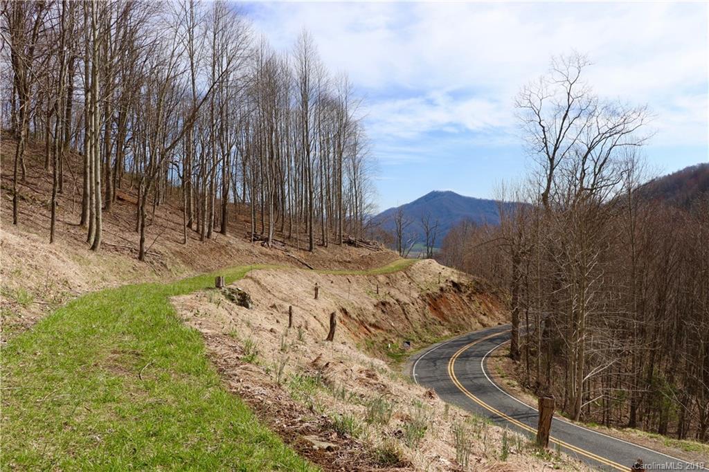 2300 Wesley Creek Road Clyde, NC 28721 - Photo 4 of 19