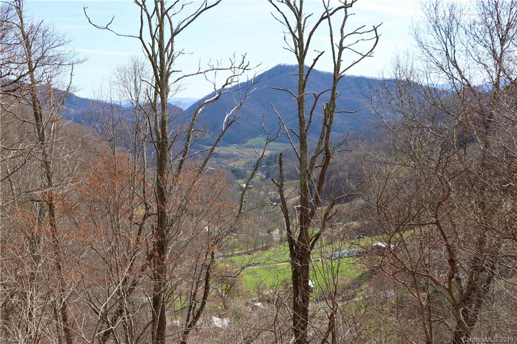 2300 Wesley Creek Road Clyde, NC 28721 - Photo 7 of 19
