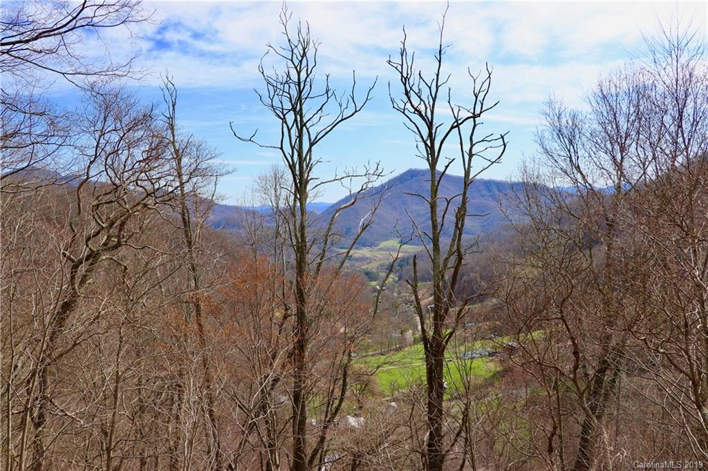 2300 Wesley Creek Road Clyde, NC 28721 - Photo 8 of 19