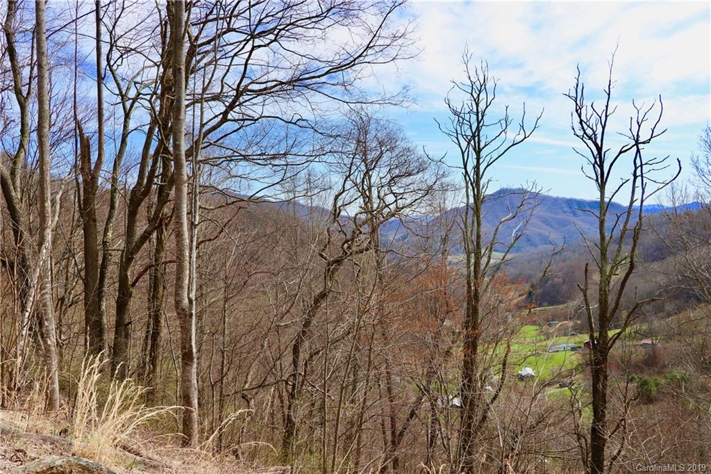 2300 Wesley Creek Road Clyde, NC 28721 - Photo 9 of 19