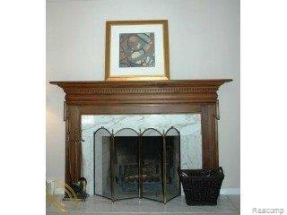 35565 Tall Pine Road Farmington, MI 48335 - Photo 6 of 19 Fireplace with Marble Surround