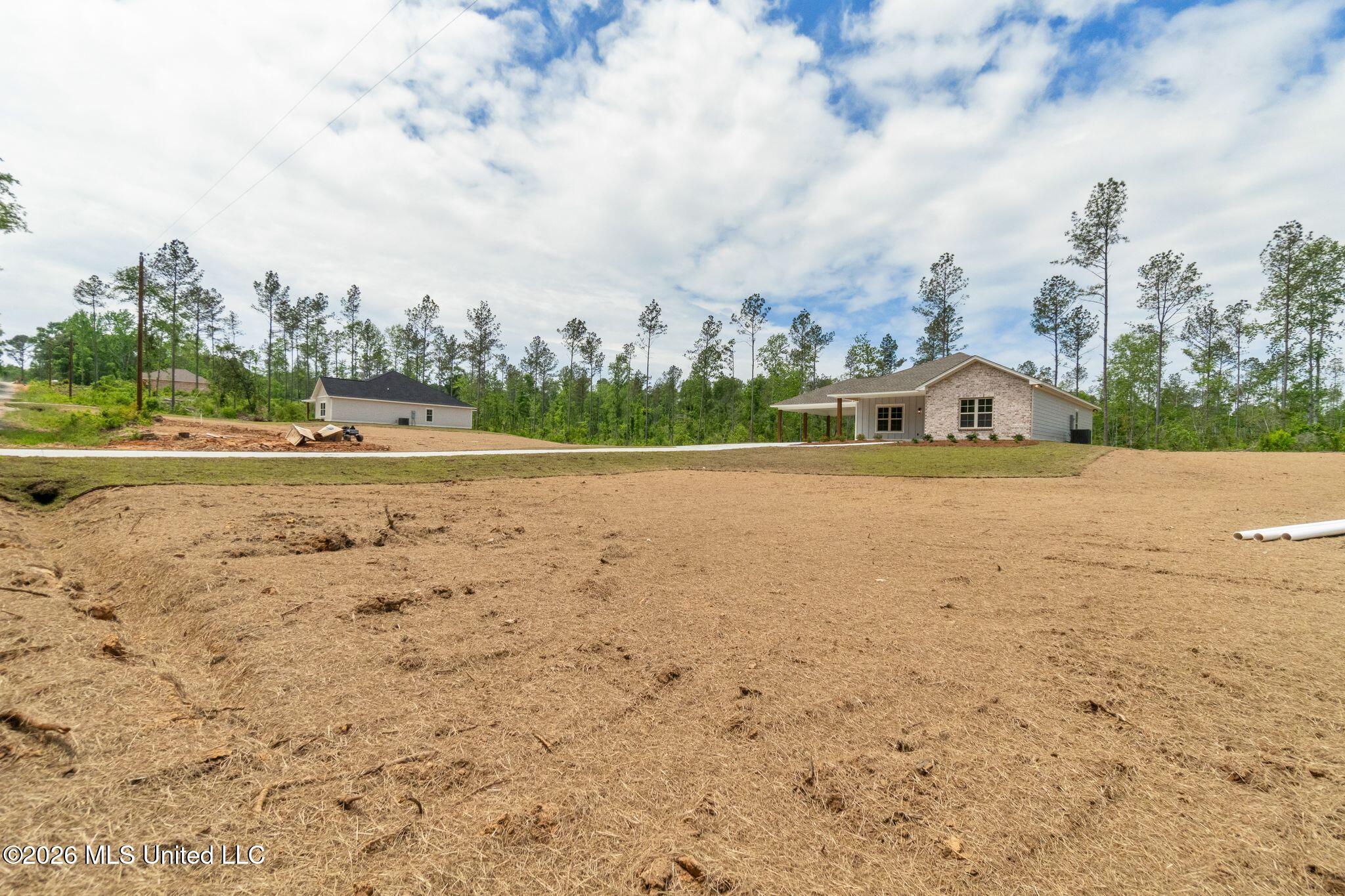 61 Noel Townsend Road Seminary, MS 39479 - Photo 2 of 43 61_Noel_Townsend_Road-2