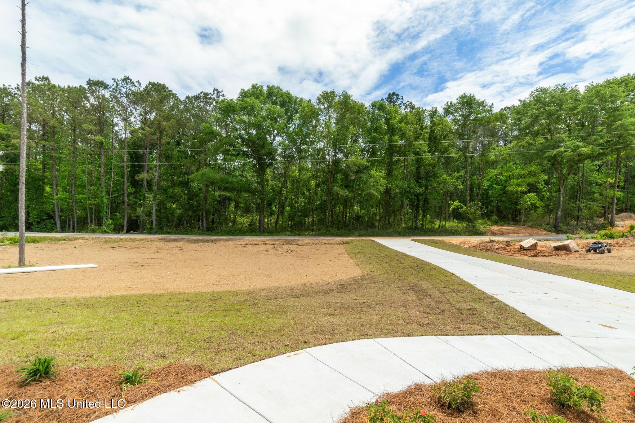 61 Noel Townsend Road Seminary, MS 39479 - Photo 6 of 43 61_Noel_Townsend_Road-6